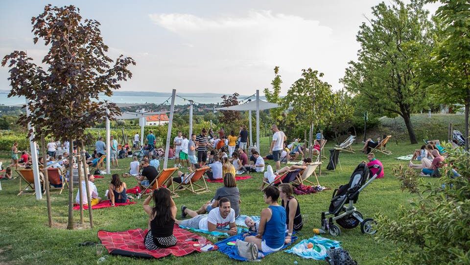 DJ a Szőlőben 2026 május 2