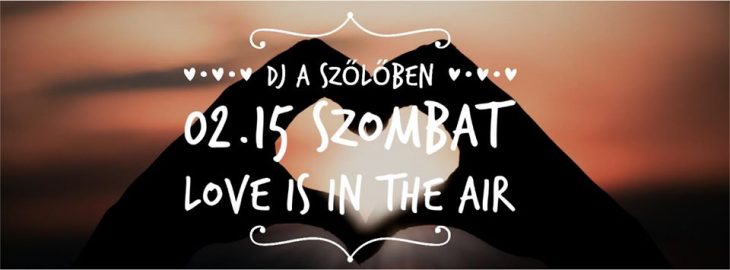 DJ a szőlőben – Love is in the Air | Paloznak | Február 15.