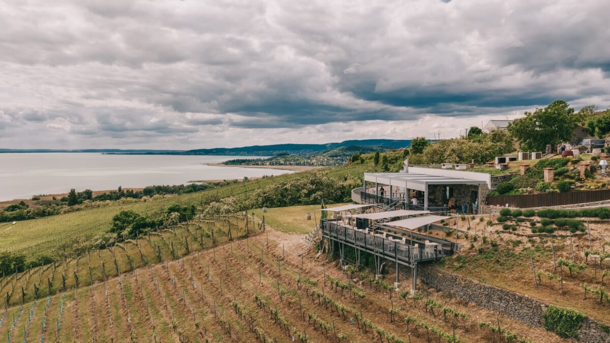 Laposa Szüreti Hétvége | Badacsonytomaj | 2022 szeptember 16-18.