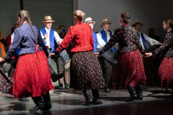 2026-ban elmarad a Salföldi Dalföld fesztivál