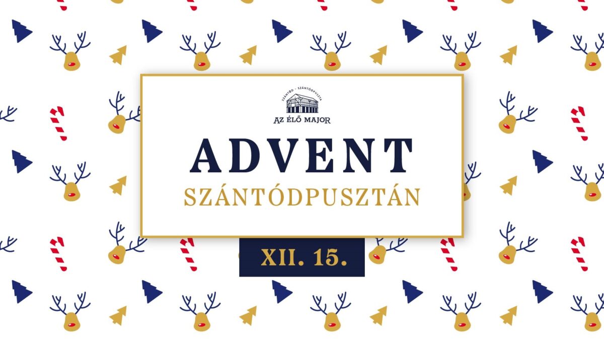 Advent a Szántódpusztai Majorságban és 1. születésnap | 2024 december 15.