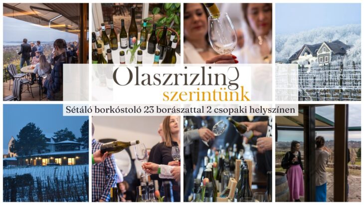 Olaszrizling Szerintünk | Csopak | 2026 január 31.
