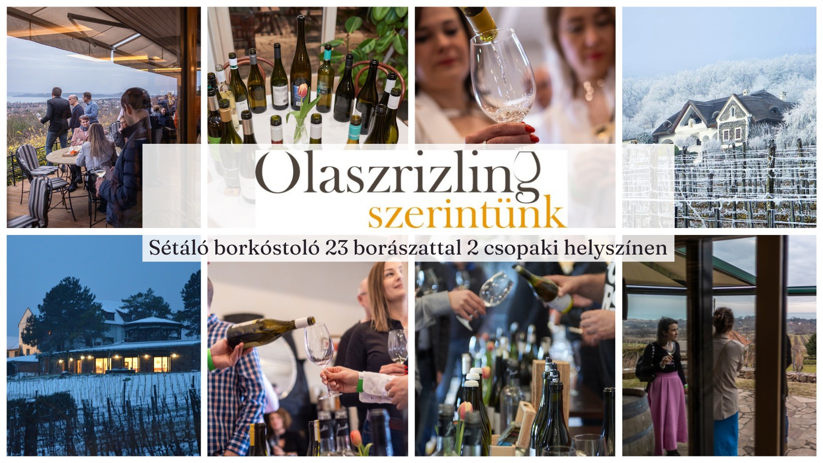 Olaszrizling Szerintünk 2026