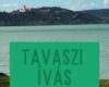 Tavaszi Ívás | Zamárdi | 2026 április 10-12.