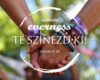 EVERNESS Fesztivál | Balatonszabadi | 2026 június 19-28.