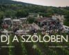 DJ a Szőlőben – Szüreti Pezsgés | Paloznak | 2026 október 24.
