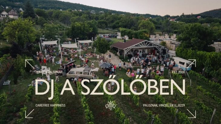 DJ a Szőlőben – Szüreti Pezsgés | Paloznak | 2026 október 24.