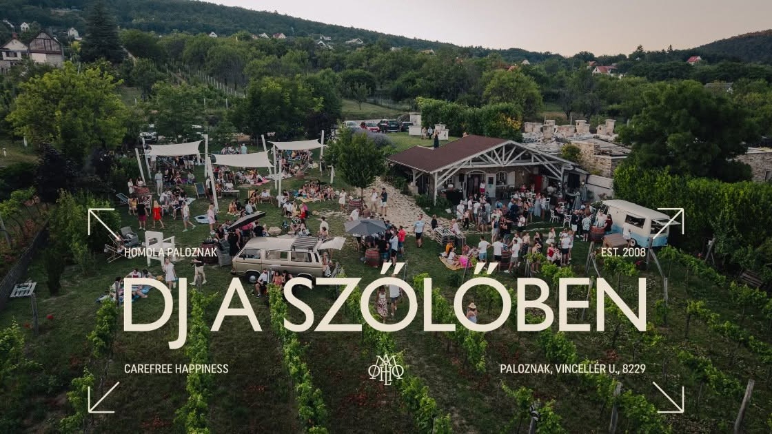 DJ a szőlőben - Paloznak