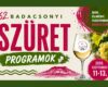 Badacsonyi Szüret | 2026 szeptember 11-13.