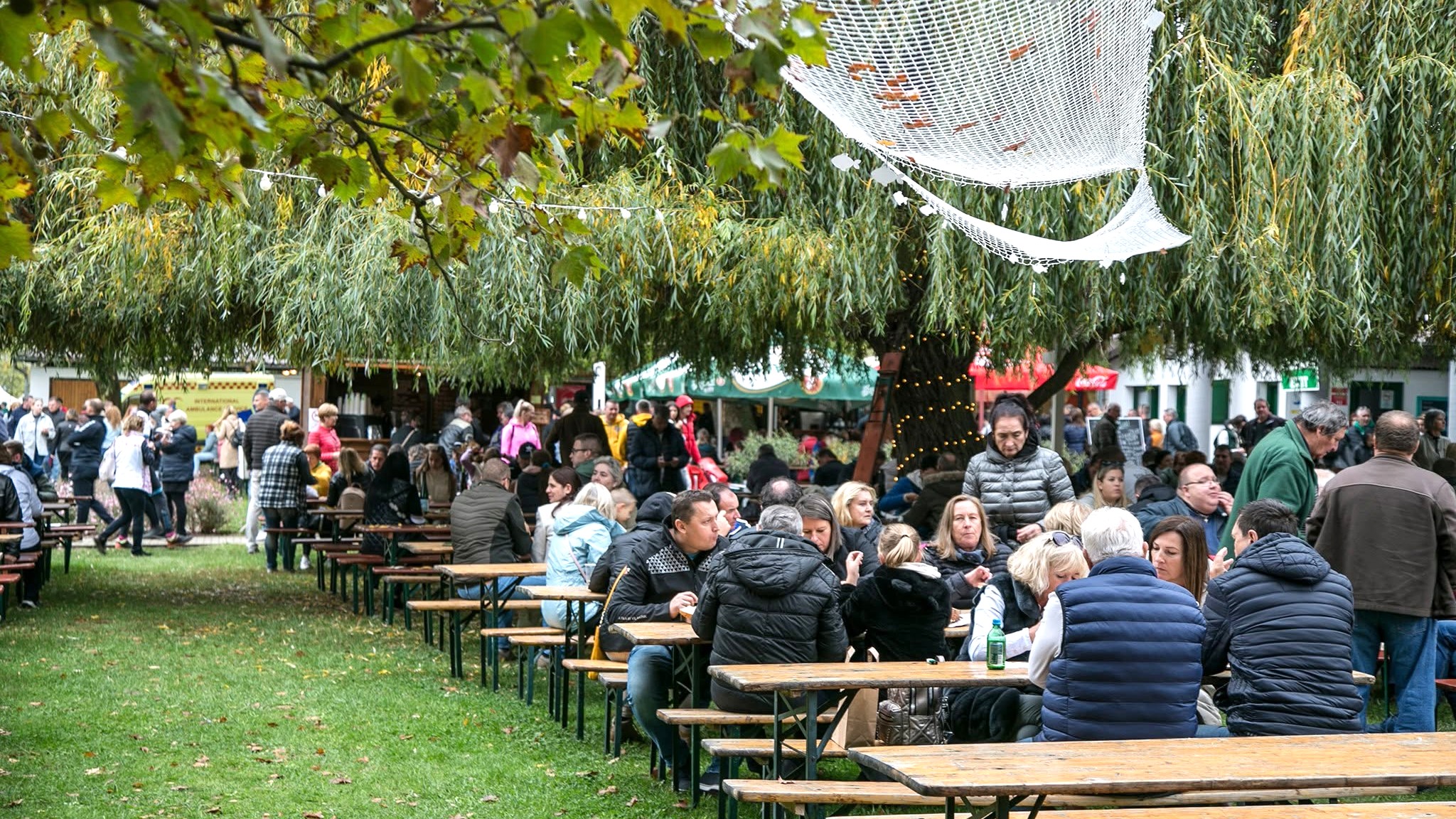 Szigligeti Süllőfesztivál 2026 október 23-24.